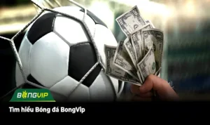 Tìm hiểu Bóng đá BongVip