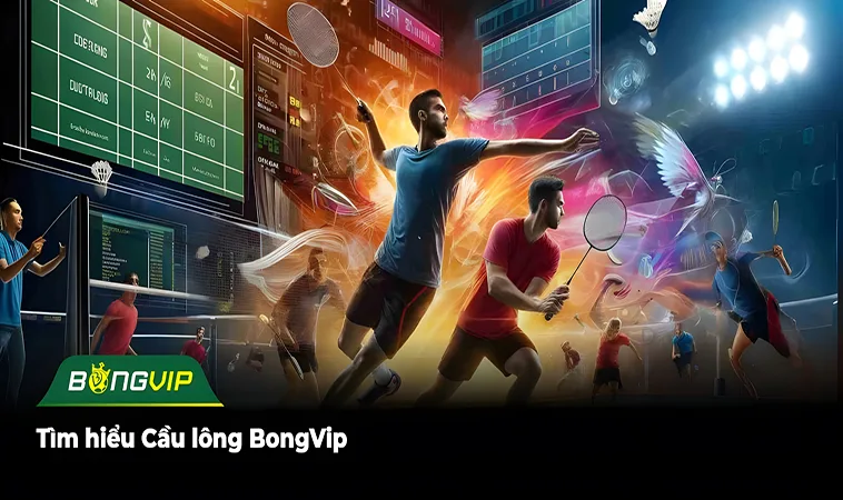 Tìm hiểu Cầu lông BongVip